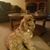 Melanie Huskins's profile image