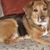 Sandie Hess-horton's profile image
