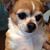 June Hardesty's profile image
