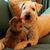 Cheryl Wallace MacCallum's profile image