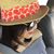 Alice Chou's profile image