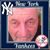 Frank D'Andrea's profile image