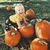 Cathy Kimble Thomason's profile image