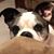 Marilyn Hill Williams's profile image