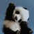 Lorna Majewski Passaglia's profile image