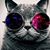Ricki Moran's profile image