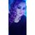 Mariah Scott's profile image
