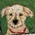 Tiffani Prarat's profile image