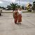 Reyna Edith's profile image