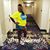 Jamell Waller's profile image