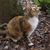 TW Shepp's profile image