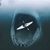 Jorge Medina's profile image