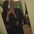 Sierra Deanna's profile image