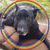 Miki Kern's profile image