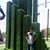 Louese Barbaso's profile image