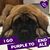 Anita Huggins's profile image