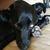 Lorraine Krebs Stevenson's profile image