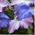 Susan Berry's profile image