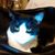 Gladys Armstrong's profile image