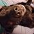 Shanna Warrington's profile image