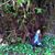 Ashira Satya's profile image