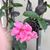 Diane Jane Wolfe's profile image