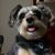 Brian Kerr's profile image