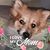 Karen DZugan-Harper's profile image