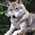Wanda Jamison's profile image