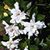 Sally Newell's profile image