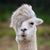 Randy Barclay's profile image