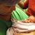 Kathe VanHorssen's profile image