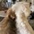 Michelle Kave Feltner's profile image