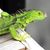 David Johnston's profile image