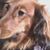 Gwen Smith's profile image