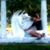 Larisa Parga's profile image