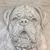 Moose Joyner's profile image