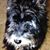 Theresa Behrens's profile image