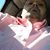 Willy Fowler's profile image
