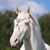 Carol Rheaume's profile image