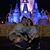 Daimary Nicole Castillo's profile image