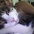 Dee Marie Rosier's profile image