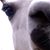 Richie Arendsee's profile image