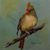 Sylvia Cooley's profile image