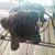Tamy Carlisle-Jones's profile image