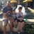 Michelle Lynn DeCarolis's profile image
