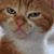 Lisa-Kay Boutwell Caswell's profile image
