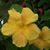 Nicole Courter's profile image