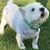 Constance Sorgen's profile image