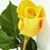 Doris Emond's profile image